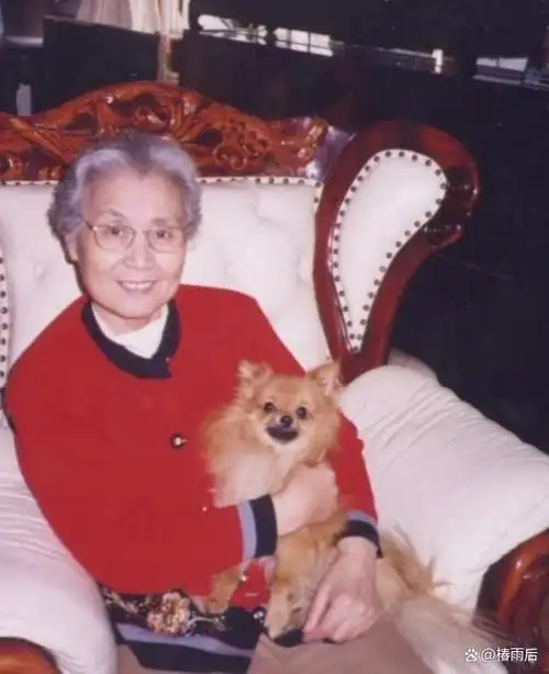 屠洪刚的母亲居然是演唱九九艳阳天的知名歌唱家