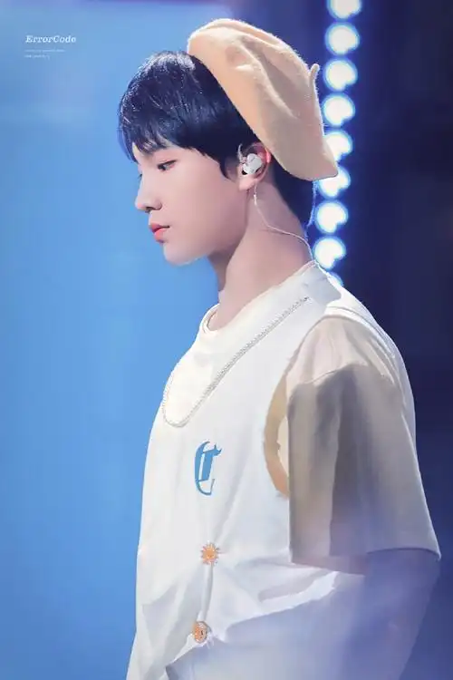 苏新皓 山城曙光