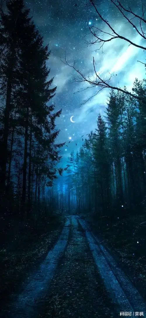 暗黑壁纸极地之处可见光明