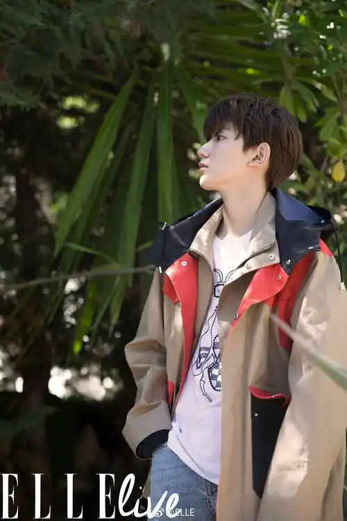 十七岁的绝版王源