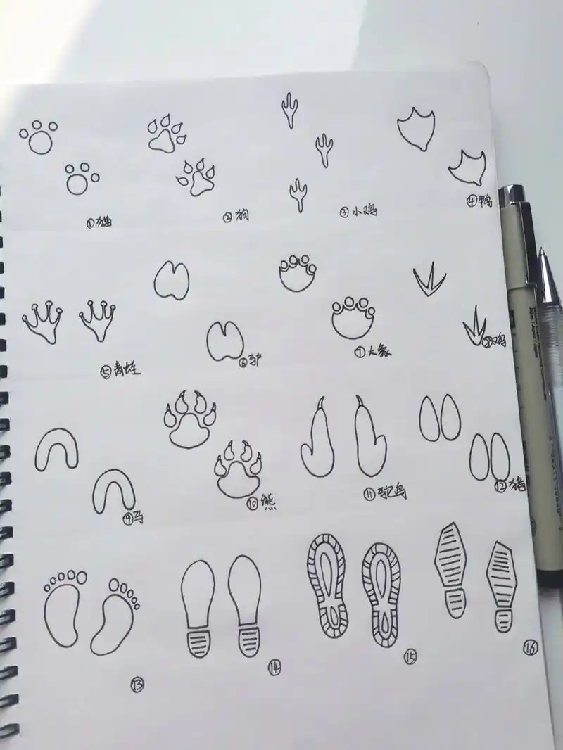 16种脚印简笔画画法-原创793 参考网络素材