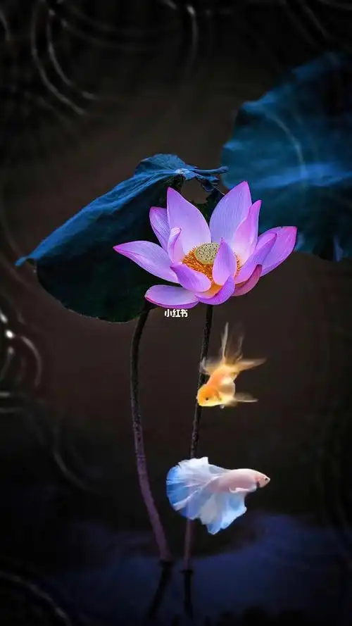 1080_1920竖版 竖屏