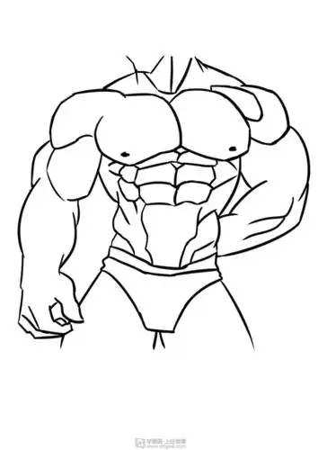 临摹男性肌肉—角色人物肌肉绘画训练举报