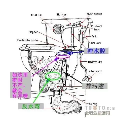马桶堵了求马桶结构图详细