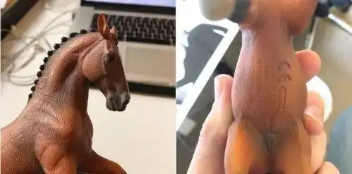 小只马长人类生殖器