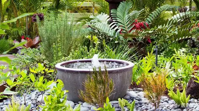 庭院生态水池如何设计?花园生态水景观案例分享,快学起来吧