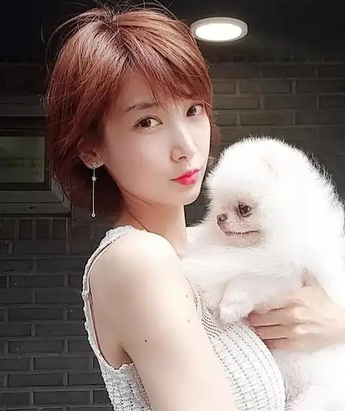 很喜欢短碎发发型,不知现在还流行吗?会不会老气?_短发_时尚_造型