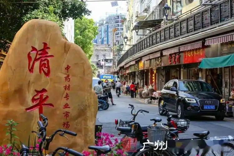 老广都爱逛的这个药材市场,未来将……_中药材_清平_文化