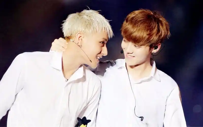 梦回exo!黄子韬私下去鹿晗演唱会,激情跟唱与台上鹿晗挥手互动