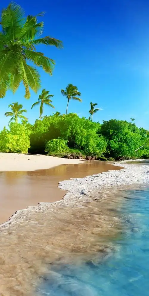 1080_2139竖版 竖屏