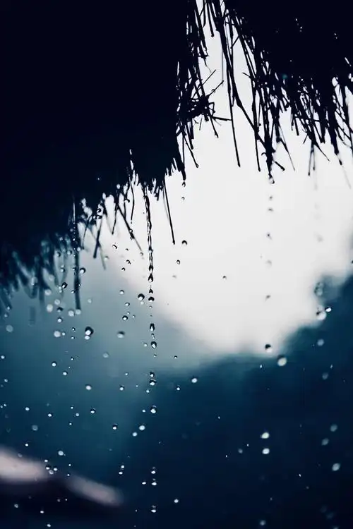 把盏多吟陶令句