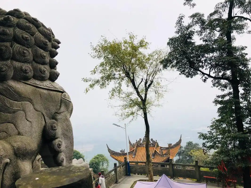 1994年四月和九月出生的属狗人命最苦.