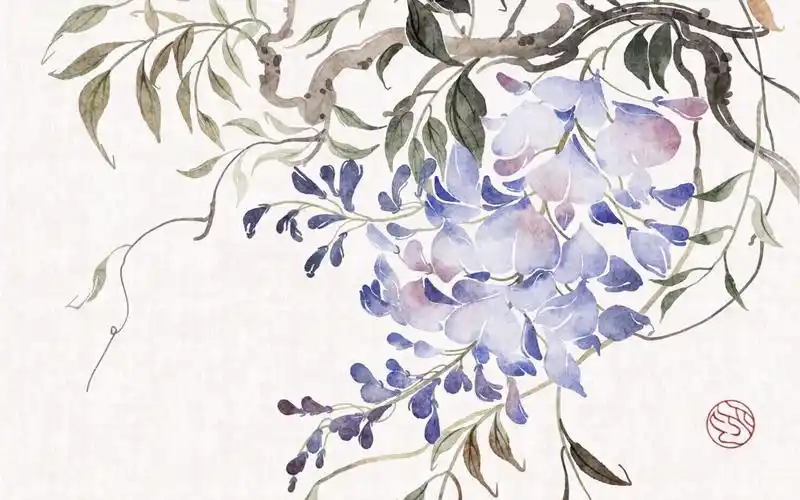 ipad古风花卉 | 紫藤绘画过程