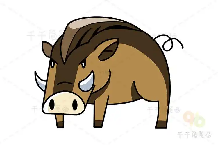 卷毛野猪简笔画