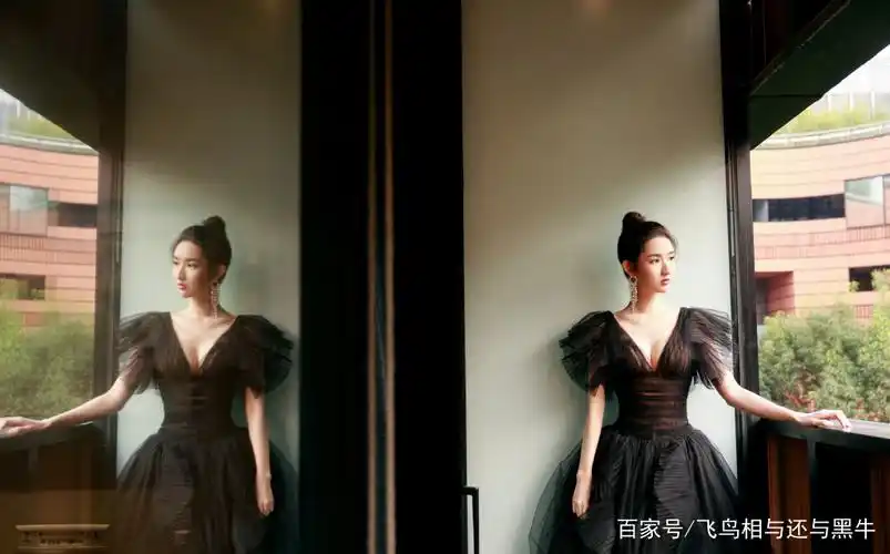 王玉雯性感黑纱裙写真