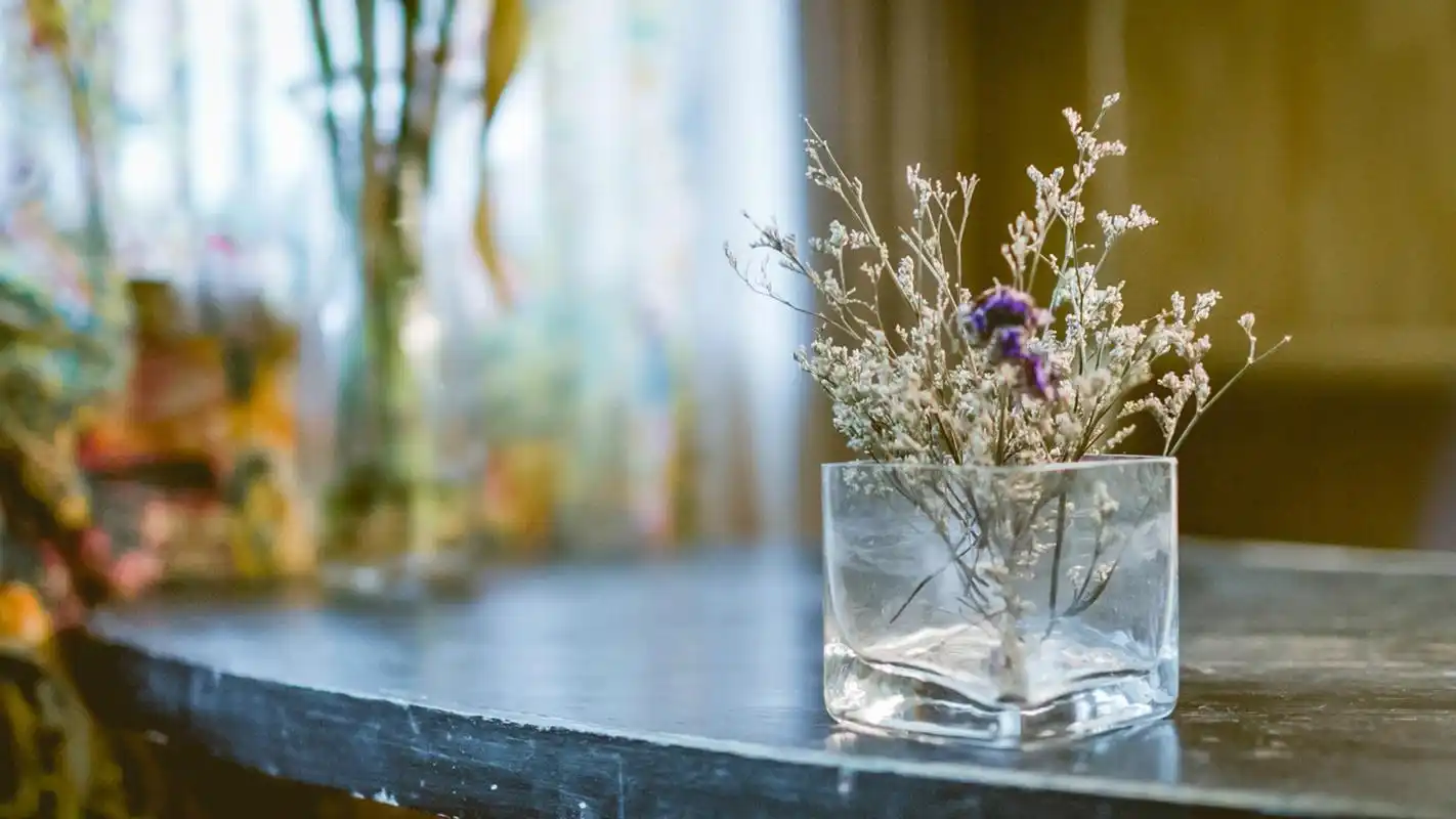 治愈系小清新静物唯美高清壁纸