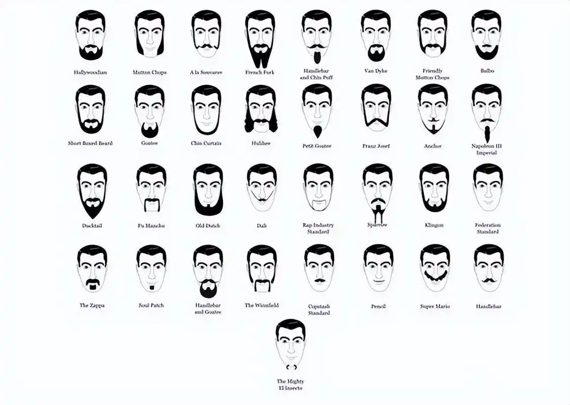 回顾达尔文都没搞明白的问题:男性进化出胡须,究竟是做什么用的?