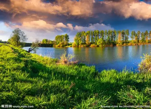 湖泊自然花草风景风光图片