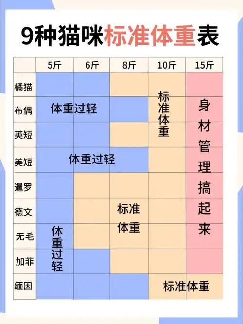 9种猫咪体重对照表看看你家猫是胖还是瘦