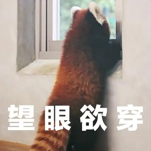 表情包——发挥一下贫瘠的想象力(纯粹闲的