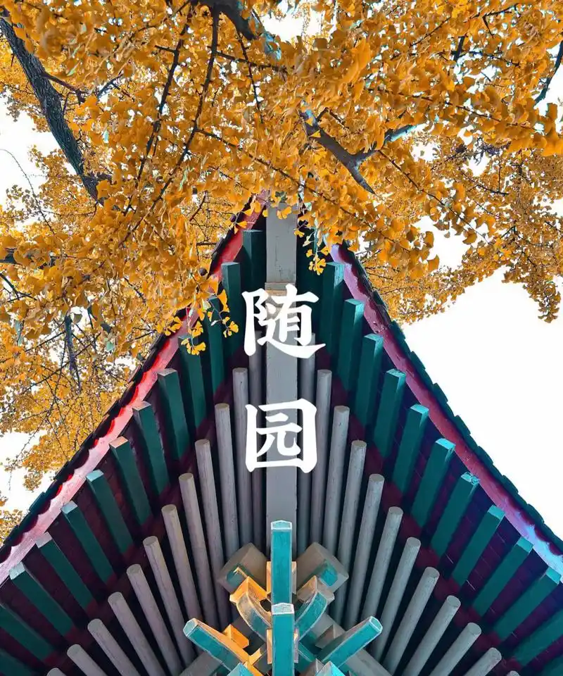 今天想给大家介绍一下南京师范大学,每每看到拍的特别漂亮的南师大