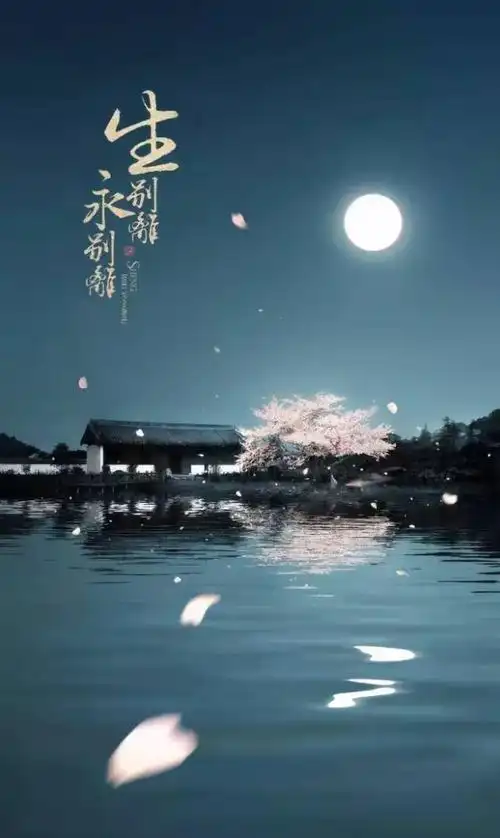 第二世,我守在忘川河边,不为轮回,只为在途中与你相遇相见.