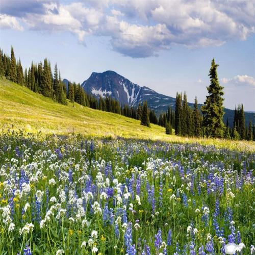 真好看的照片风景照片645132984q652