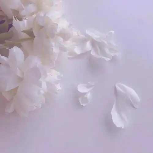 「壁纸」精选简约朋友圈背景图!