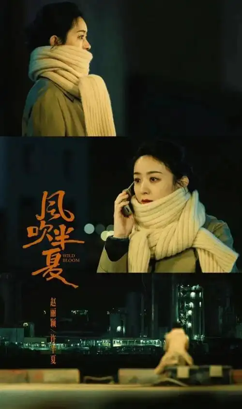 电视剧风吹半夏评价(热播大剧风吹半夏豆瓣8.4分口碑高涨)(4)