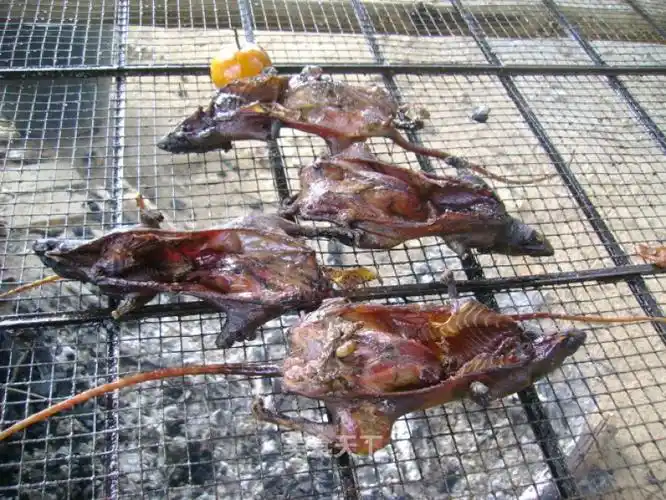 烤老鼠肉