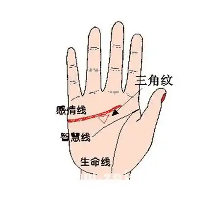感情线有三角纹好不好 手相感情线上下出现三角坟代表-星座分析-星座8