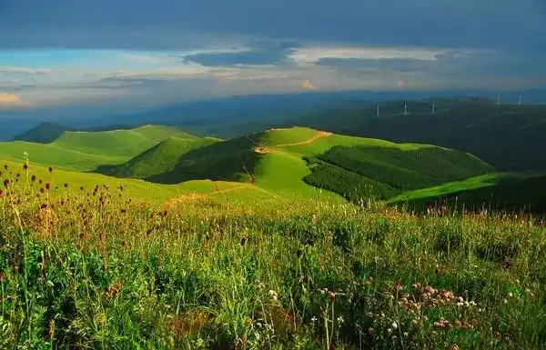 中国版66号公路草原天路这画面太美我不敢看