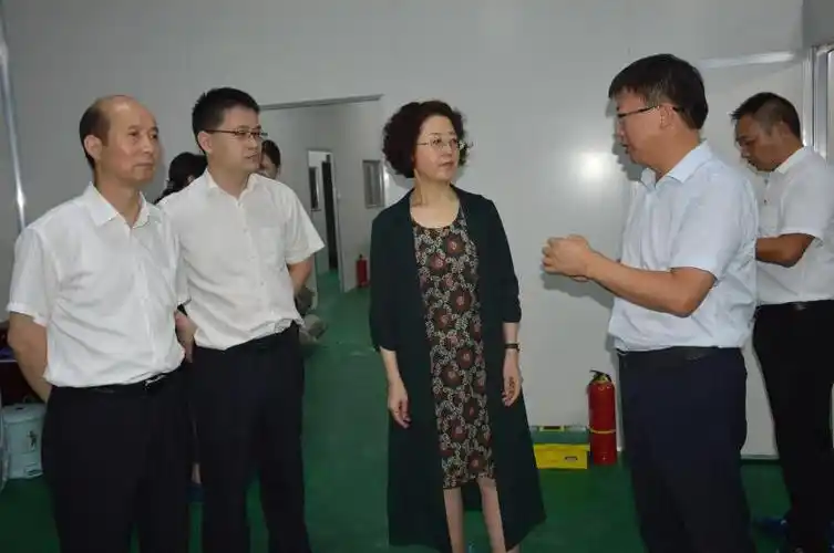 江汽集团控股公司党委副书记纪委书记单永英率队到龙潭乡龙湾村帮扶