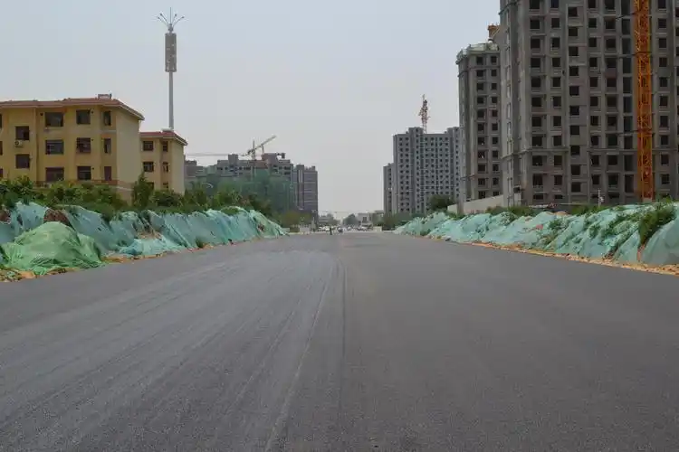 城区九龙街竣工通车