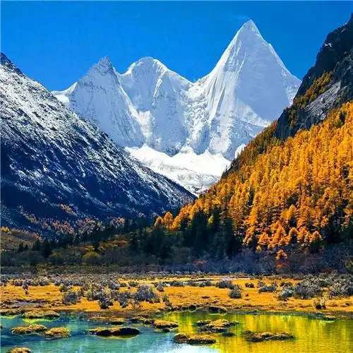 抖音图片最火头像风景