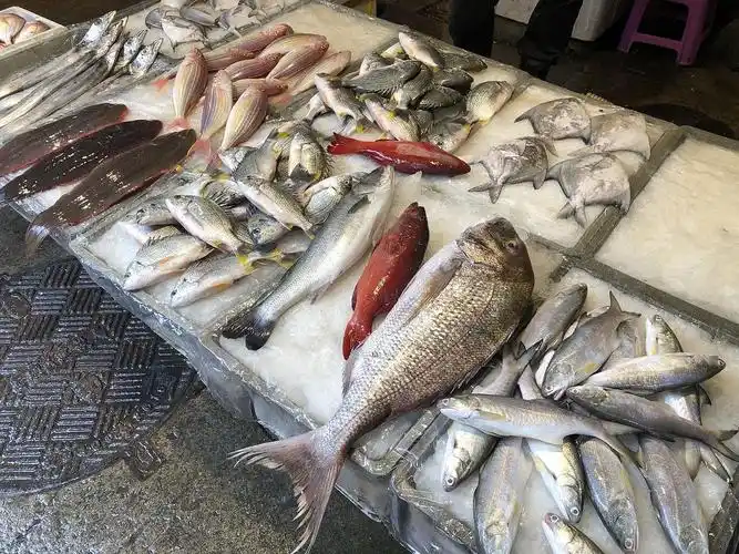 国内菜市场|厦门海鲜鲜鲜鲜
