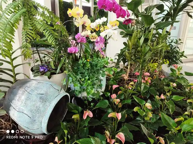 redmi note9 pro评测:一亿像素,高刷屏幕,双扬声器的"打包量贩"