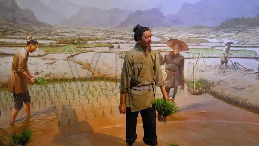 古代耕种劳作蜡像场景_3840x2160_高清视频素材下载(编号:6522672)