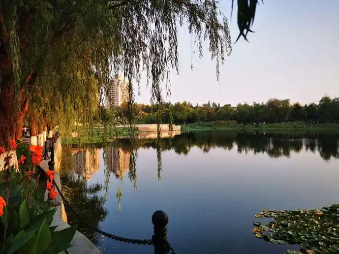 南京:月牙湖公园