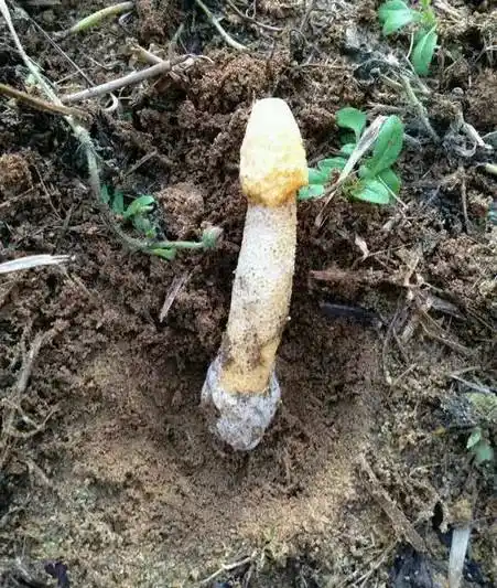 我们都是白天钓鱼,现在这个季节可能水温只有十四五度左右,较冷.