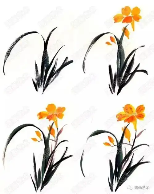 图文教程中国画入门之写意花鸟