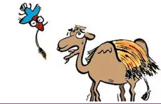 连续上涨的原料价格,已经成织造厂承受力的最后一根稻草!