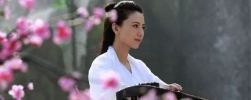 天龙八部李碧云去哪了