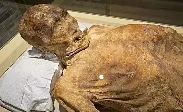 "其实南大医学和江西医学院