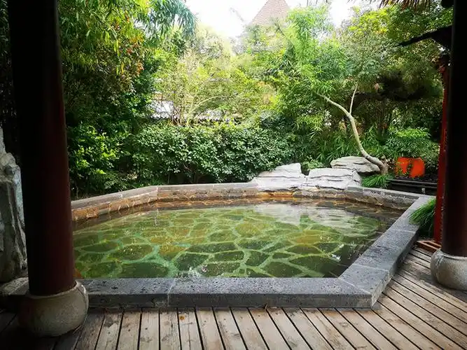 汤泉池里冒起氤氲热气,微波荡漾,闭上眼静享安逸舒适的时光,身心的不