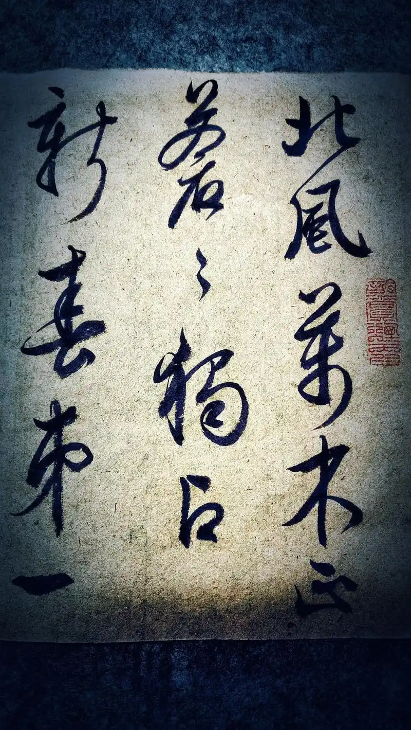 初临文徵明·梅花诗帖(一)暖如地血,寒比天风.已有六日未练字 - 抖音