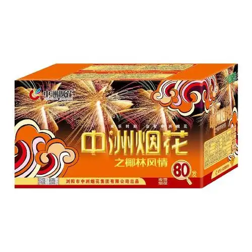 中洲烟花之椰林风情效果图