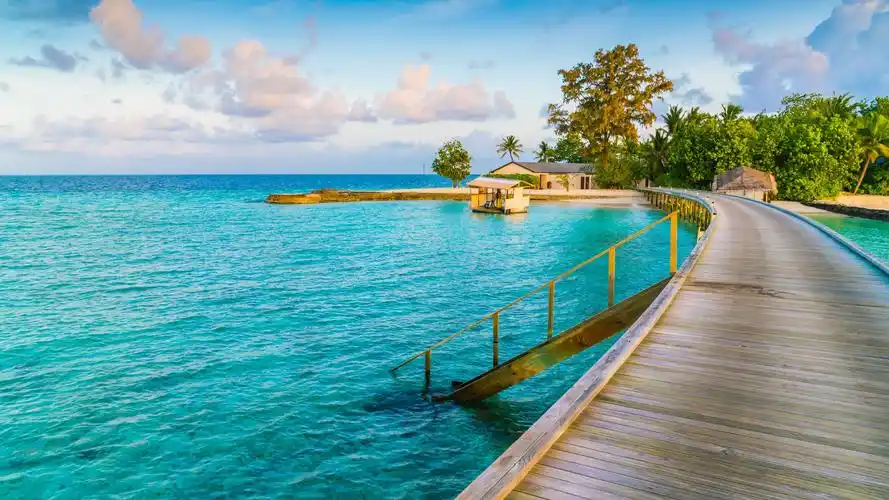 热带天堂棕榈树度假村海4k