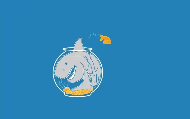 鲨鱼壁纸和背景图像