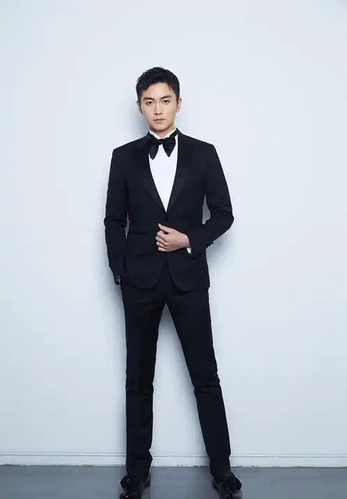 陈晓华表奖帅气写真图片